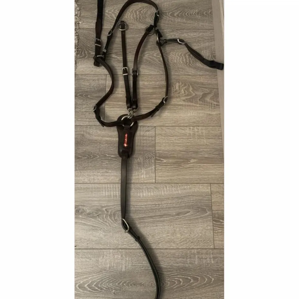 Collier de chasse avec martingale