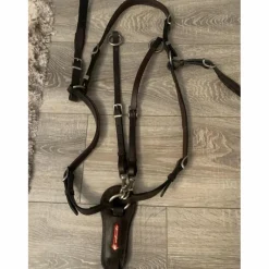 Collier de chasse avec martingale