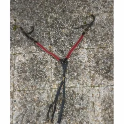 collier de chasse avec martingale