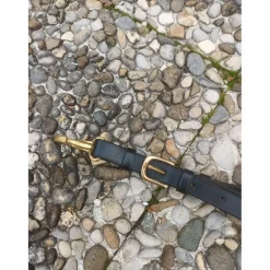 collier de chasse avec martingale