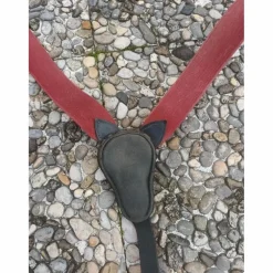 collier de chasse avec martingale