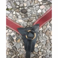 collier de chasse avec martingale
