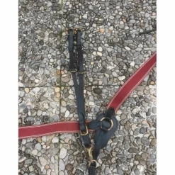 collier de chasse avec martingale