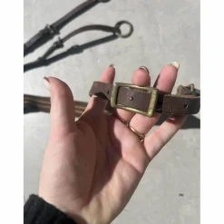 Collier de chasse avec martingale