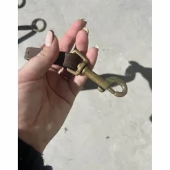 Collier de chasse avec martingale