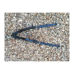 Collier de chasse avec martingale