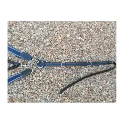 Collier de chasse avec martingale