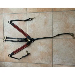 Collier de chasse avec martingale