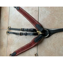 Collier de chasse avec martingale