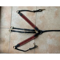 Collier de chasse avec martingale