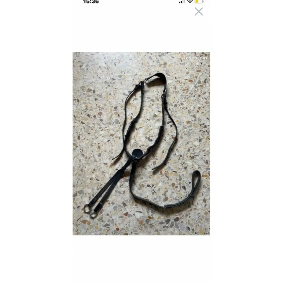 Collier de chasse avec martingale