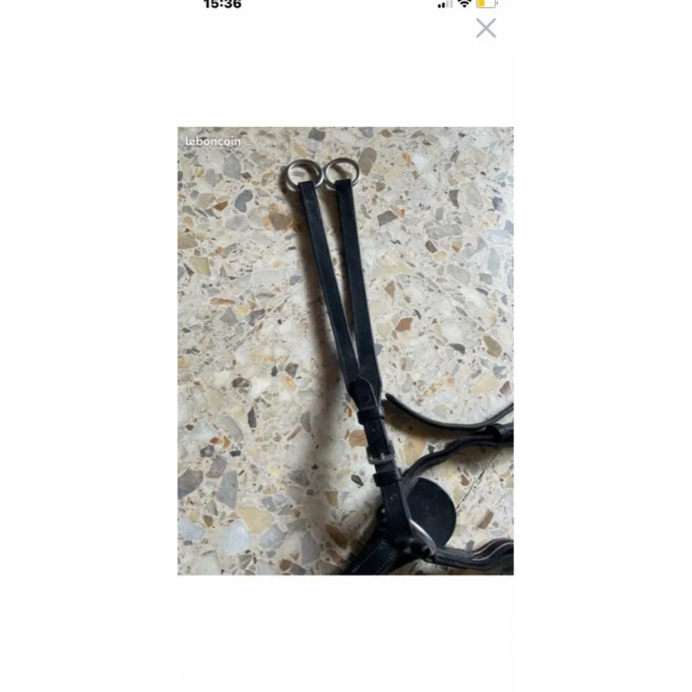 Collier de chasse avec martingale