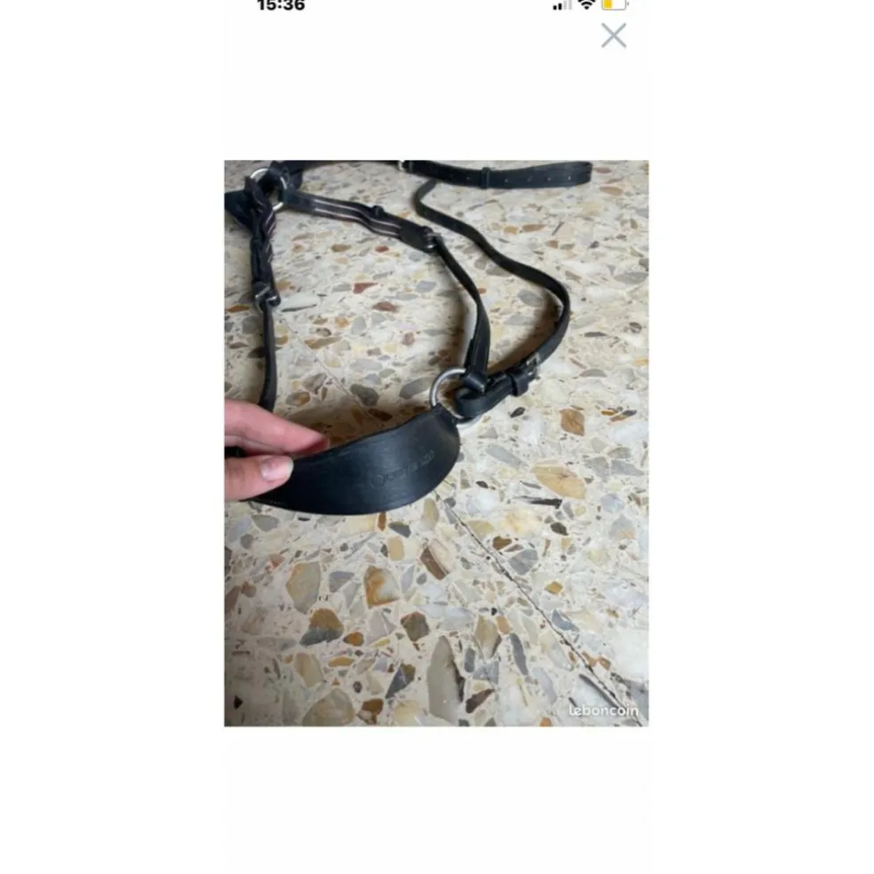 Collier de chasse avec martingale