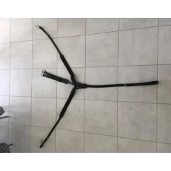 Collier de chasse avec martingale élastique Eric Thomas