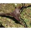 Collier de chasse avec Martin Ikonic