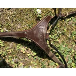 Collier de chasse avec Martin Ikonic