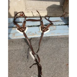 collier de chasse avec martinguale