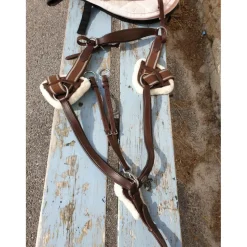 collier de chasse avec martinguale