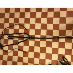 Collier de chasse avec martingale