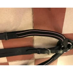 Collier de chasse avec martingale
