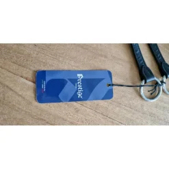 Collier de chasse avec martingale 3point