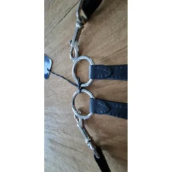 Collier de chasse avec martingale 3point