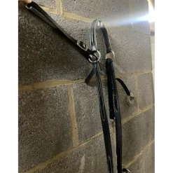 Collier de chasse avec martingale pleine à élastique