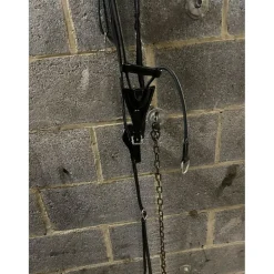 Collier de chasse avec martingale pleine à élastique