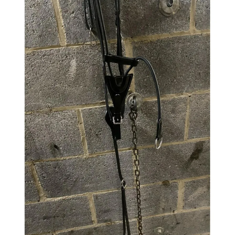 Collier de chasse avec martingale pleine à élastique