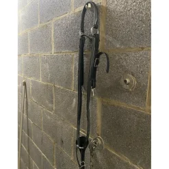 Collier de chasse avec martingale pleine à élastique