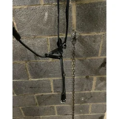 Collier de chasse avec martingale pleine à élastique