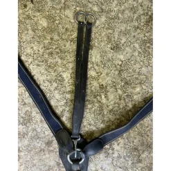 Collier de chasse avec martingale