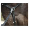 Collier de chasse avec martingale