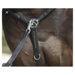 Collier de chasse avec martingale
