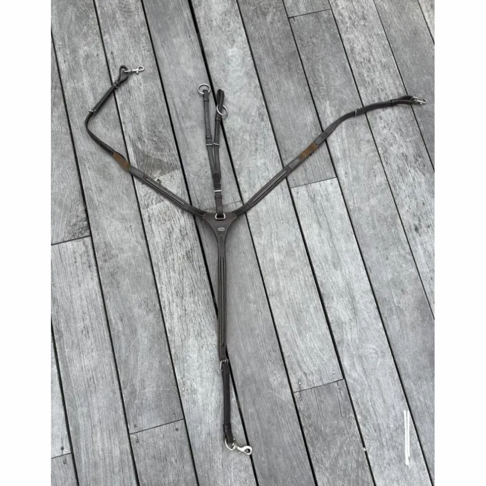 collier de chasse avec martingale