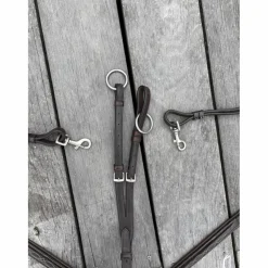 collier de chasse avec martingale