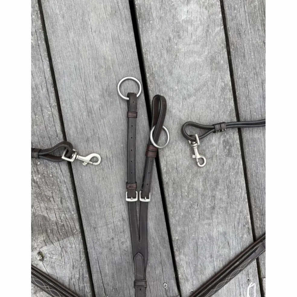 collier de chasse avec martingale