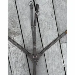 collier de chasse avec martingale