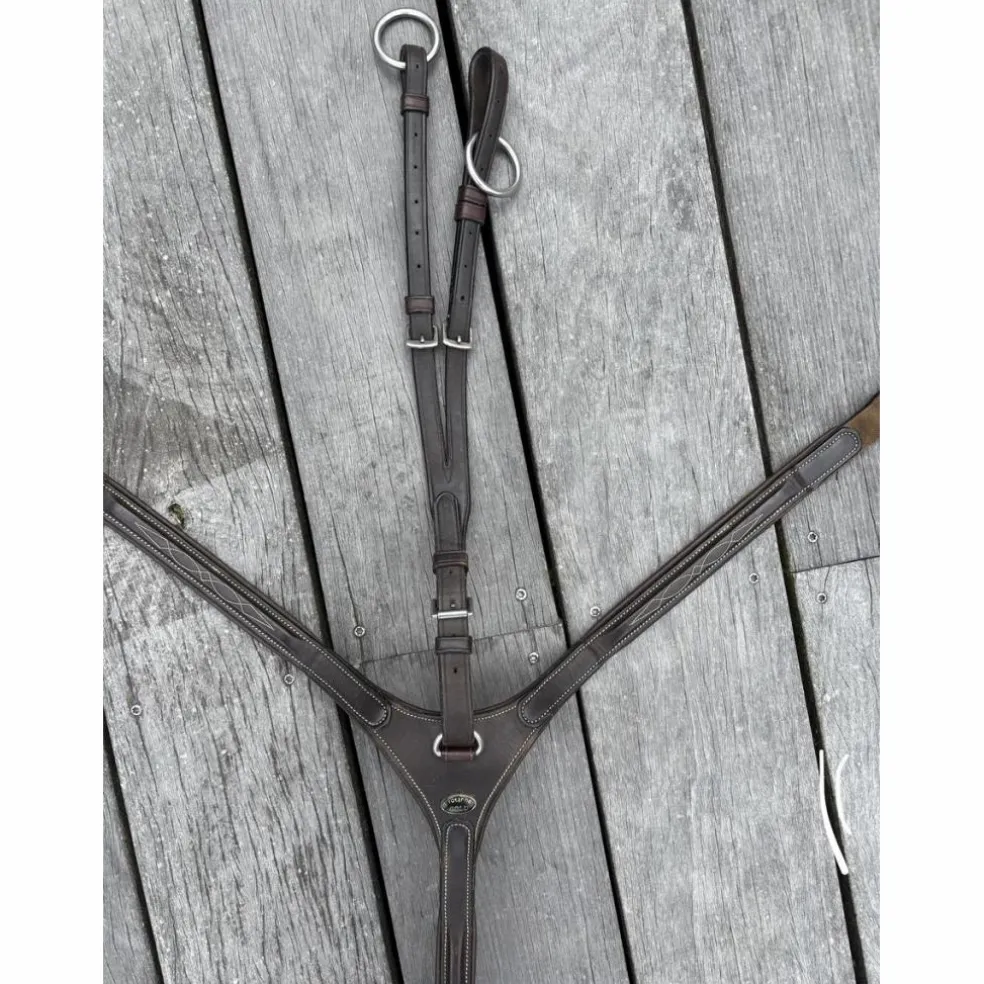 collier de chasse avec martingale