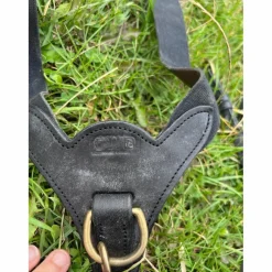 Collier de chasse avec martingale CWD