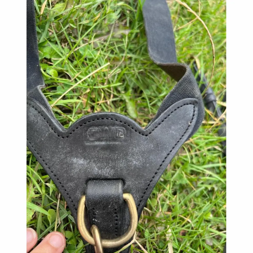 Collier de chasse avec martingale CWD