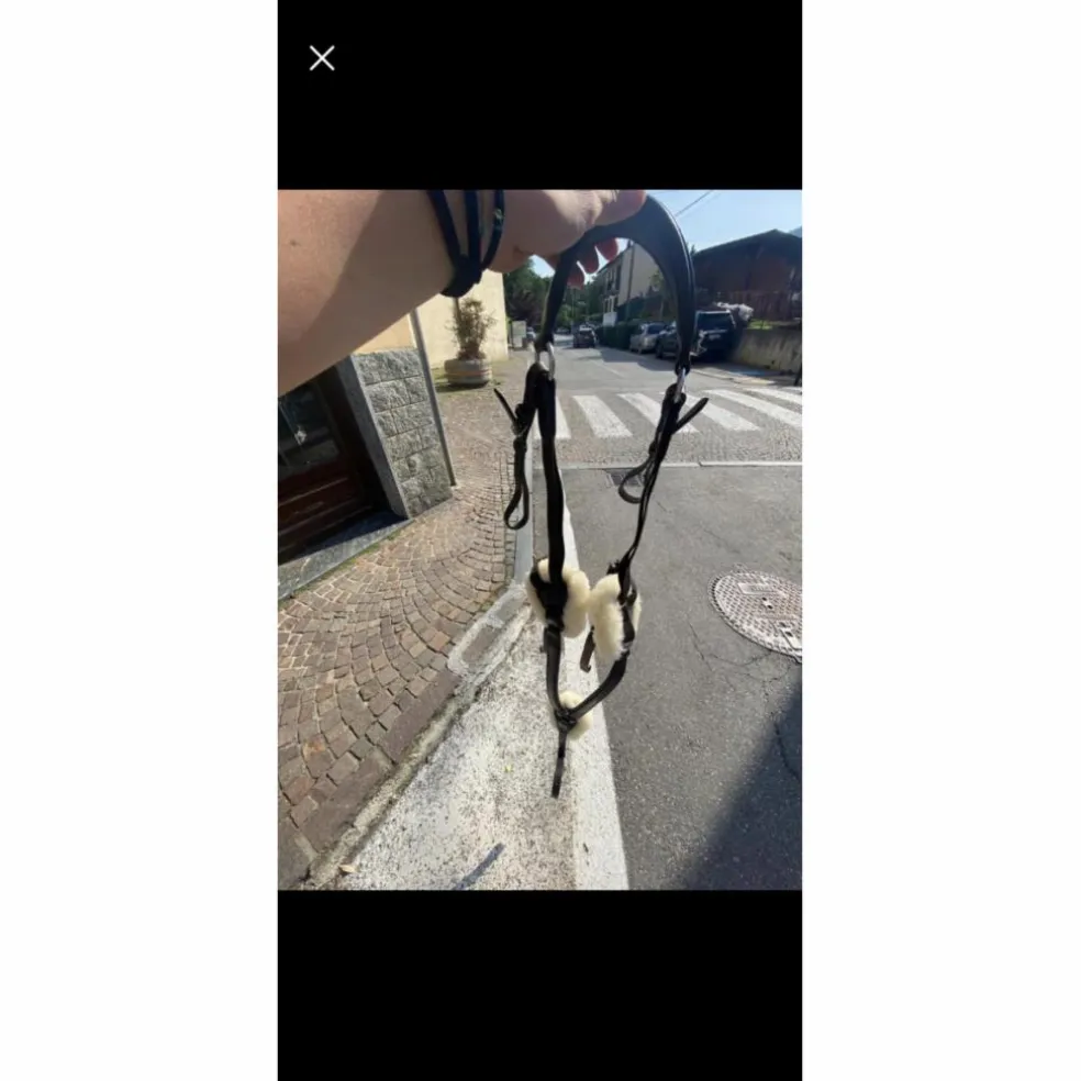 Collier de chasse avec mouton Equestro