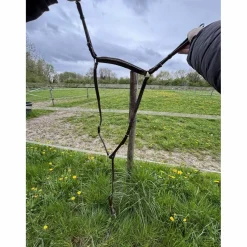 collier de chasse avec raccord ( martingale)