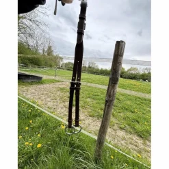 collier de chasse avec raccord ( martingale)