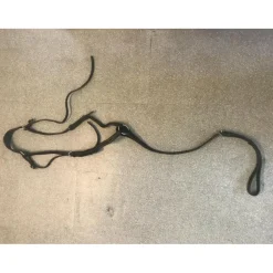 Collier de chasse avec sa martingale