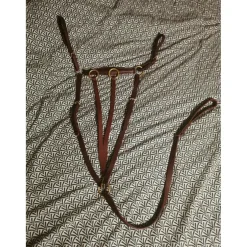 Collier de chasse avec sa martingale