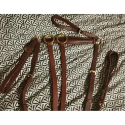 Collier de chasse avec sa martingale