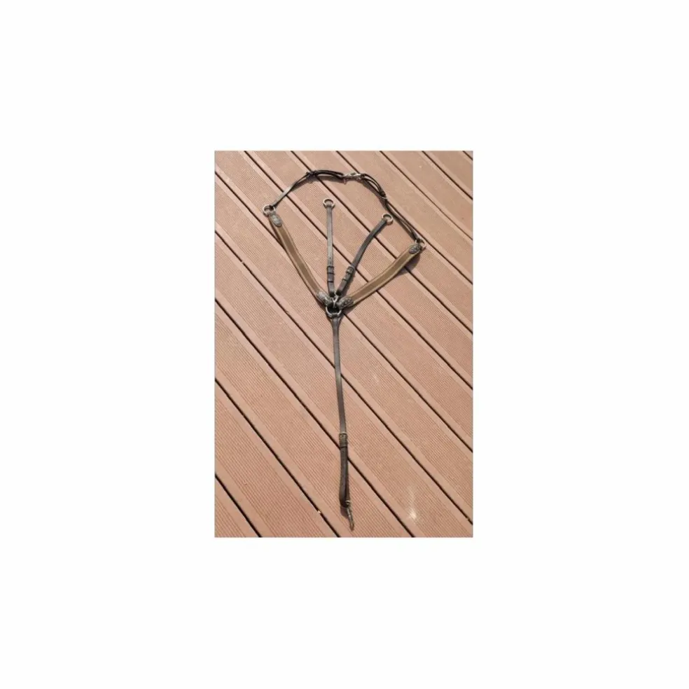 Collier de chasse avec strass