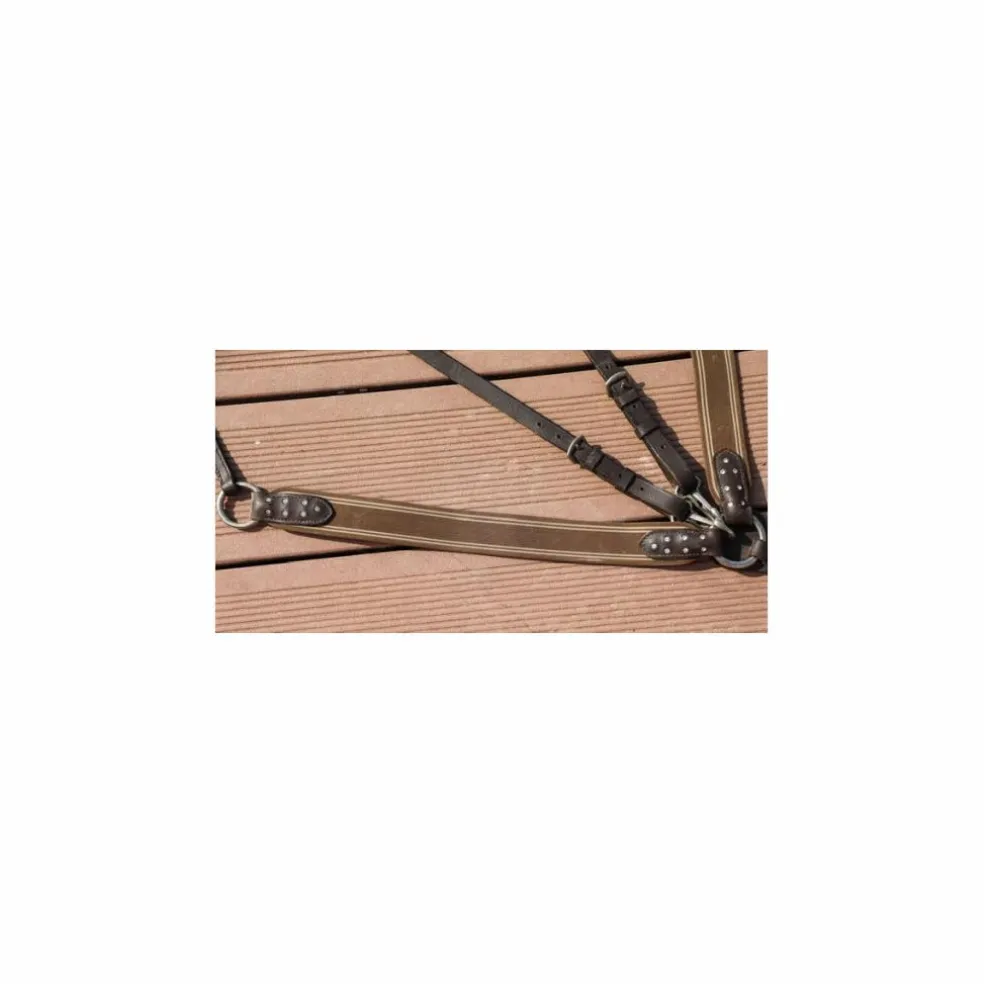 Collier de chasse avec strass