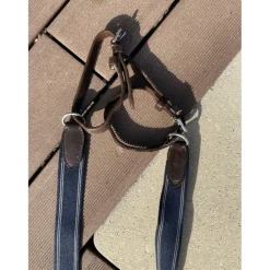 Collier de chasse bleu et marron